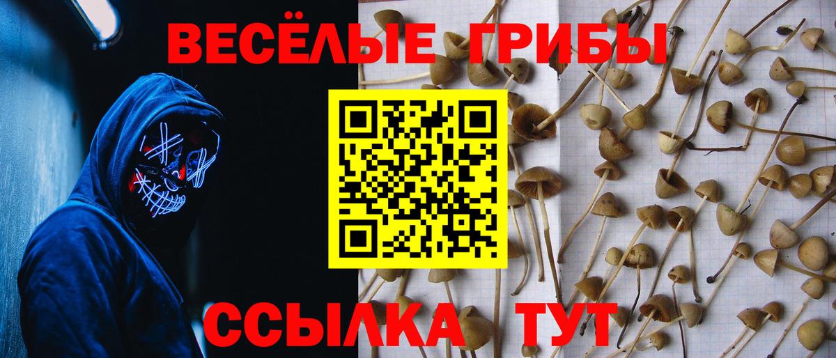 Галлюциногенные грибы ЛСД  Вход с VPN  Гудермес 